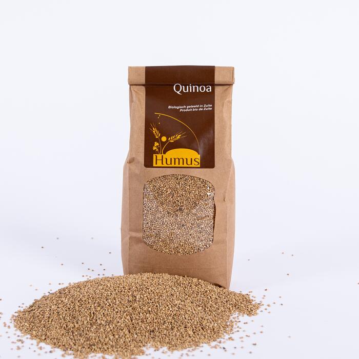 Humus Quinoa