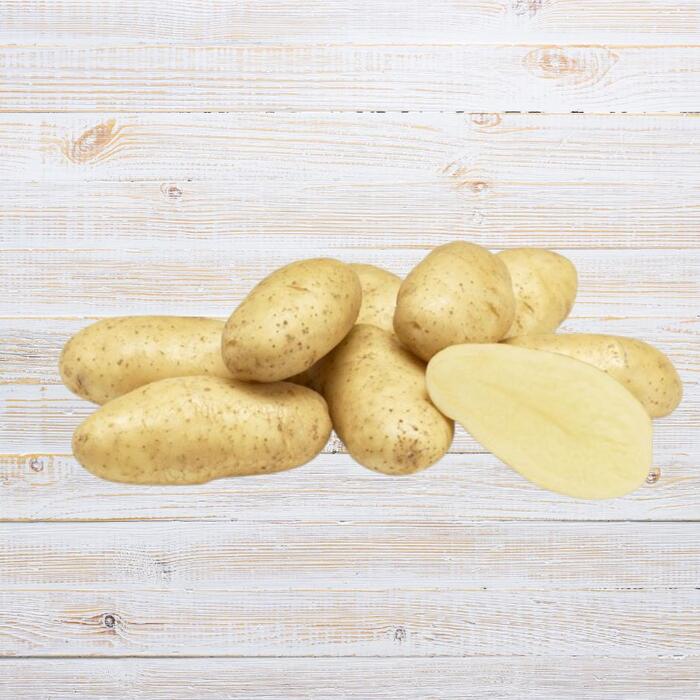 Spunta aardappel 